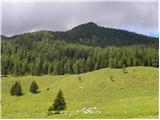 Planina Vodol - Planina Javorje